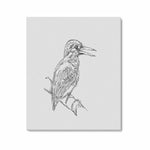 Wall Art / Bird  Frame Canvas Print 24"x20"