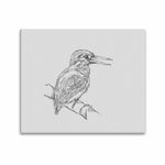 Wall Art / Bird  Frame Canvas Print 24"x20"