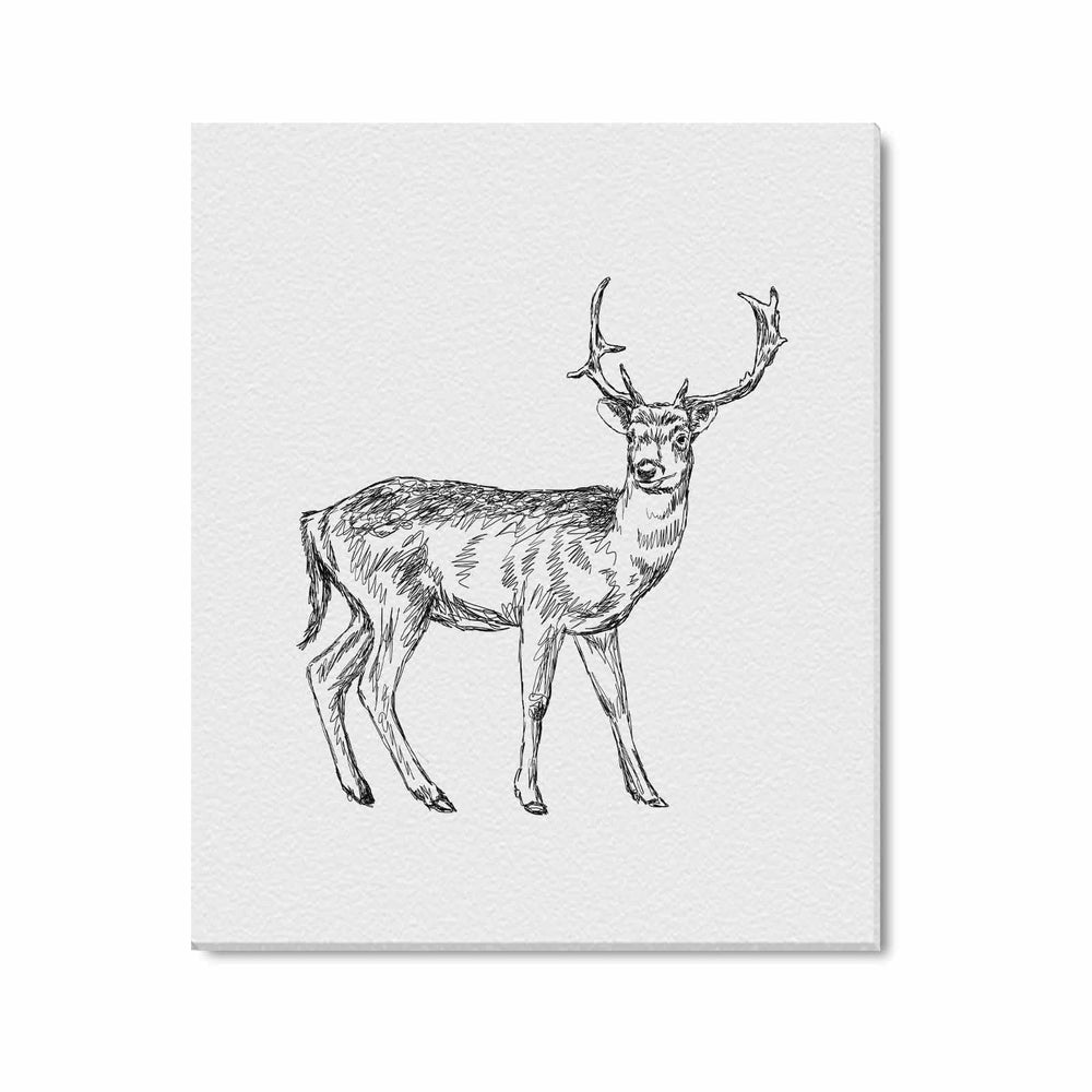 Wall Art / Deer  Frame Canvas Print 20"x24"