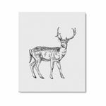 Wall Art / Deer  Frame Canvas Print 20"x24"
