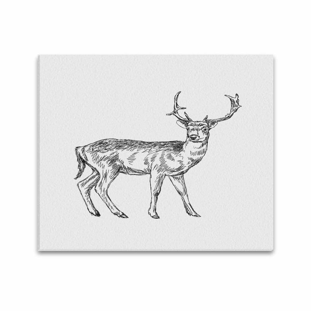 Wall Art / Deer  Frame Canvas Print 20"x24"