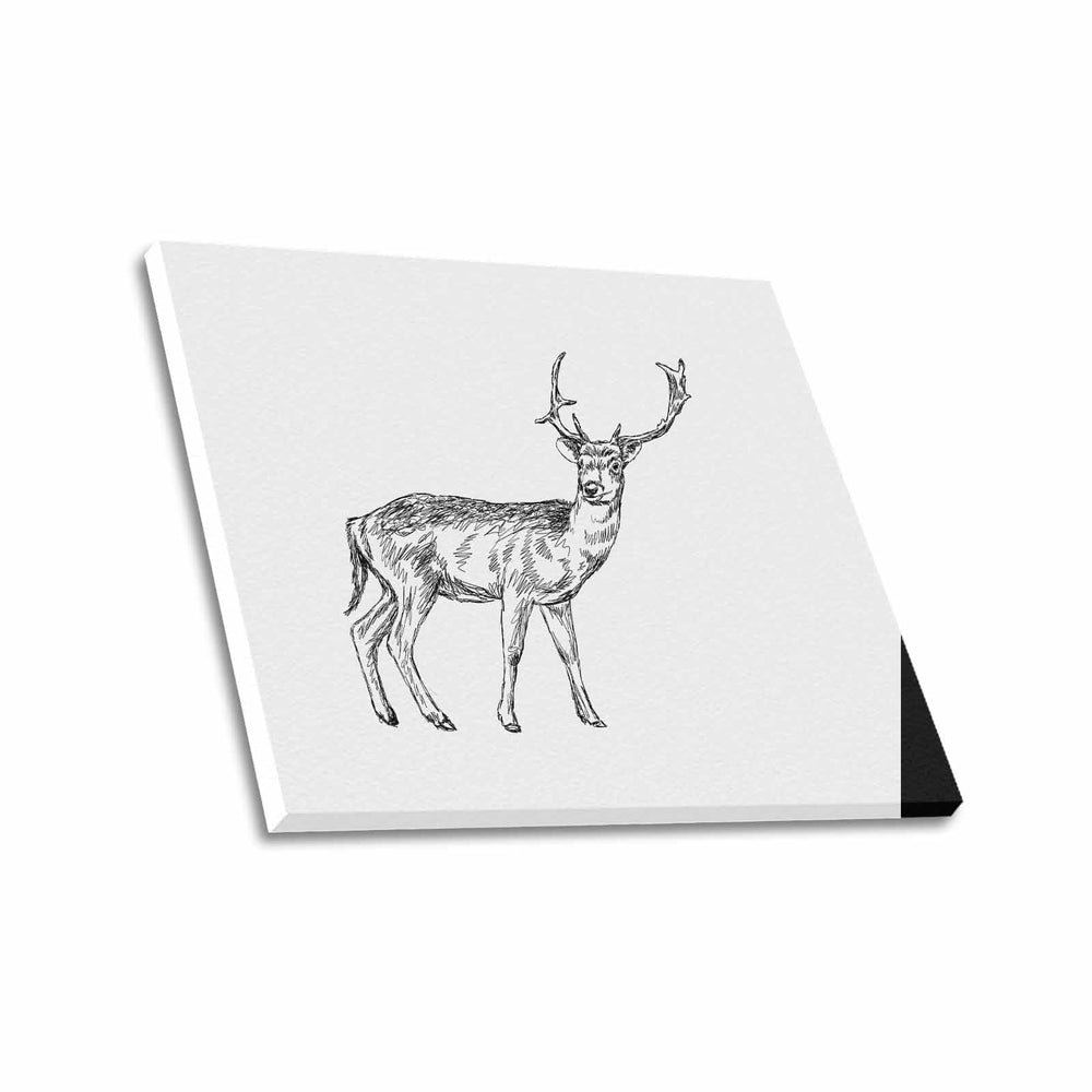 Wall Art / Deer  Frame Canvas Print 24"x20"