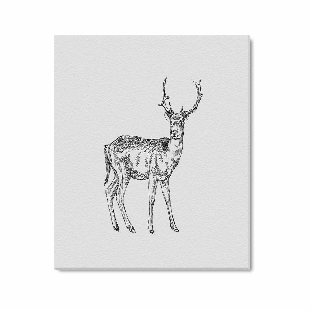 Wall Art / Deer  Frame Canvas Print 24"x20"