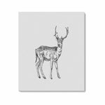Wall Art / Deer  Frame Canvas Print 24"x20"