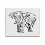 Wall Art / Elephant  Frame Canvas Print 20"x24"
