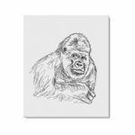Wall Art / Gorilla  Frame Canvas Print 20"x24"