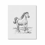 Wall Art / Horse  Frame Canvas Print 20"x24"