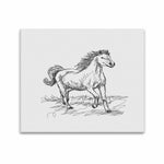 Wall Art / Horse  Frame Canvas Print 20"x24"