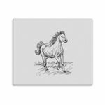 Wall Art / Horse  Frame Canvas Print 24"x20"