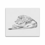 Wall Art / Lion  Frame Canvas Print 20"x24"
