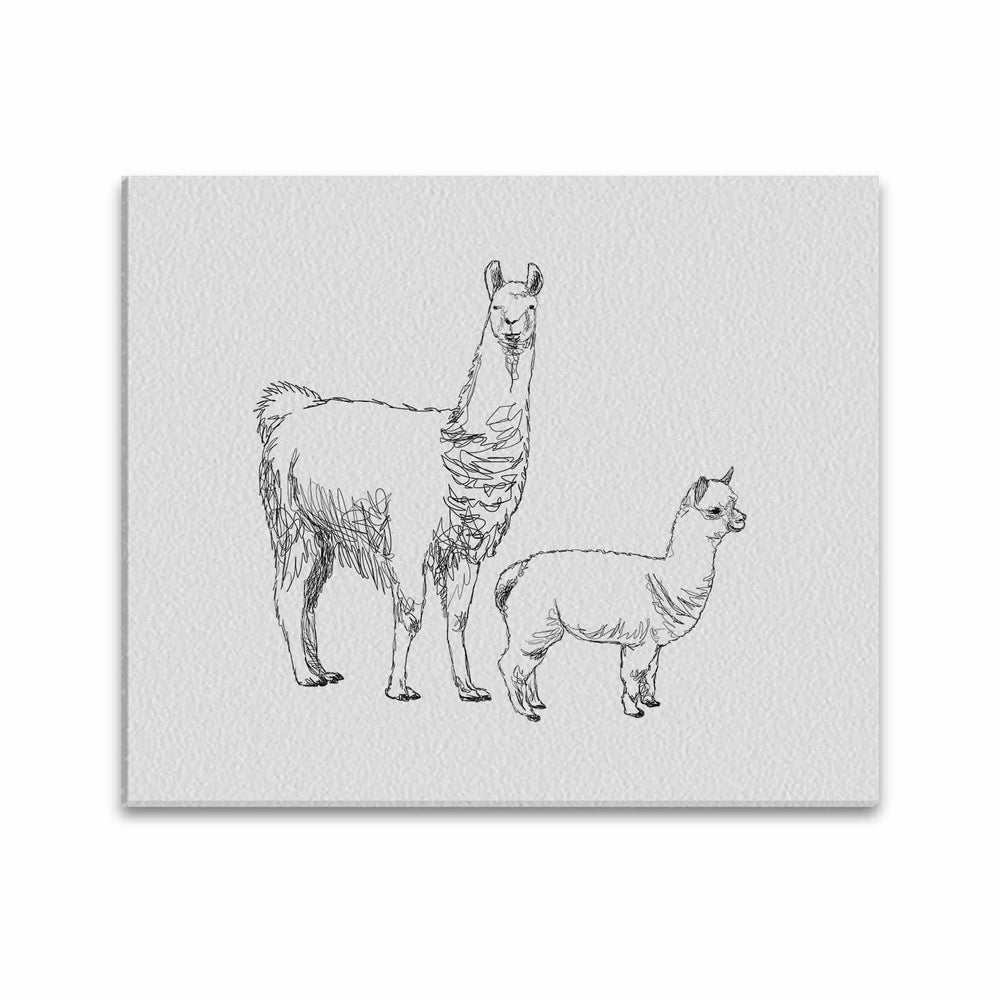 Wall Art / Llama  Frame Canvas Print 24"x20"