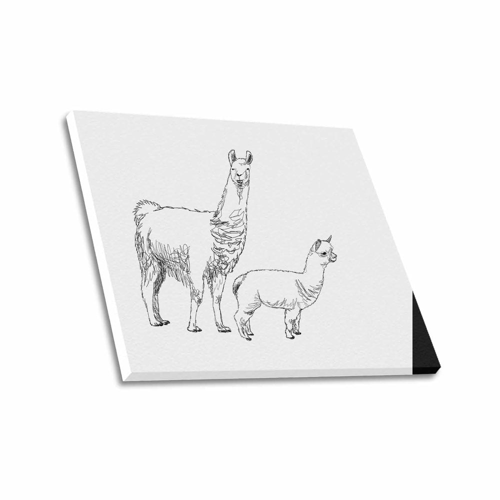 Wall Art / Llama  Frame Canvas Print 24"x20"