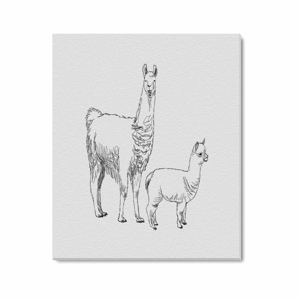 Wall Art / Llama  Frame Canvas Print 24"x20"