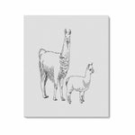 Wall Art / Llama  Frame Canvas Print 24"x20"