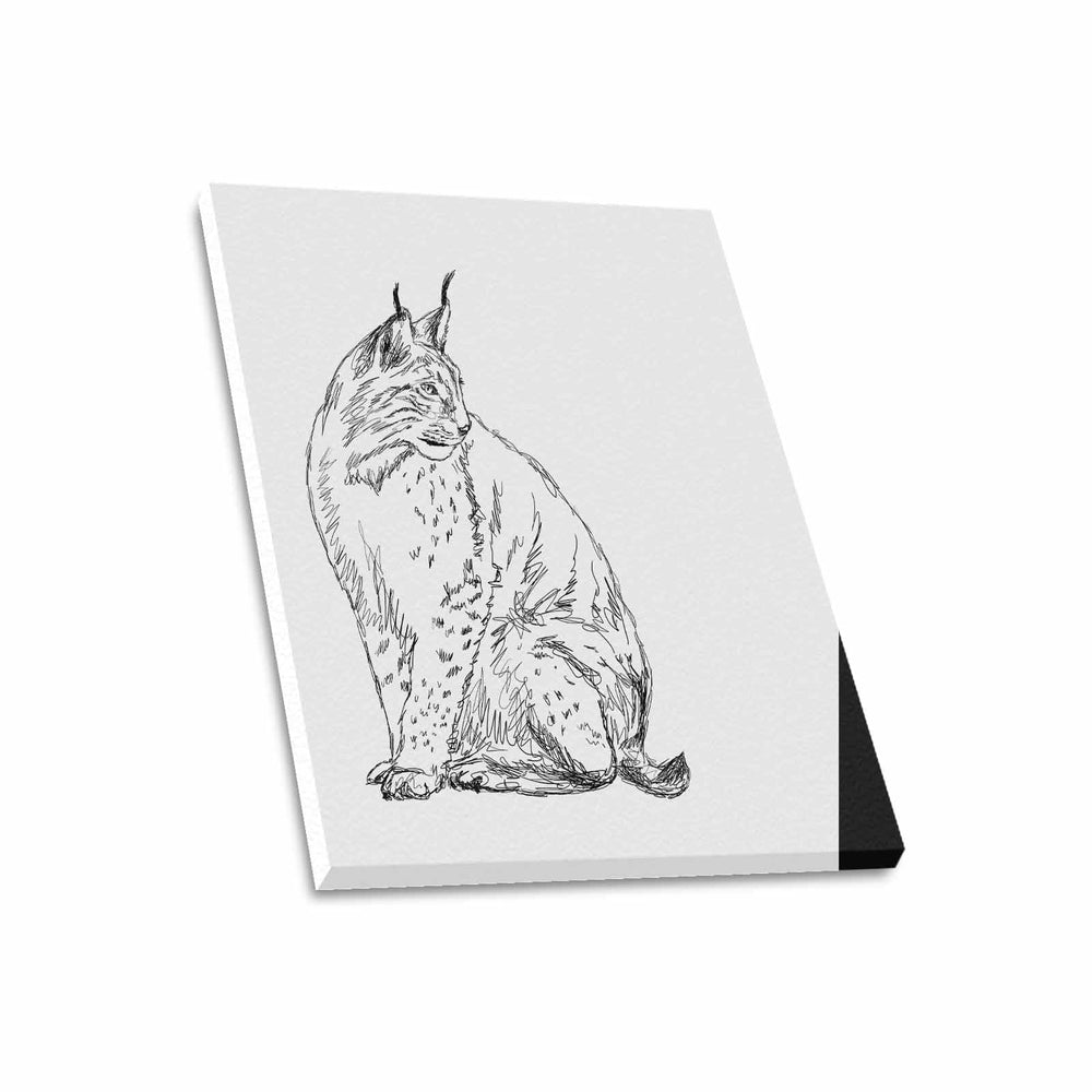 Wall Art / Lynx  Frame Canvas Print 20"x24"