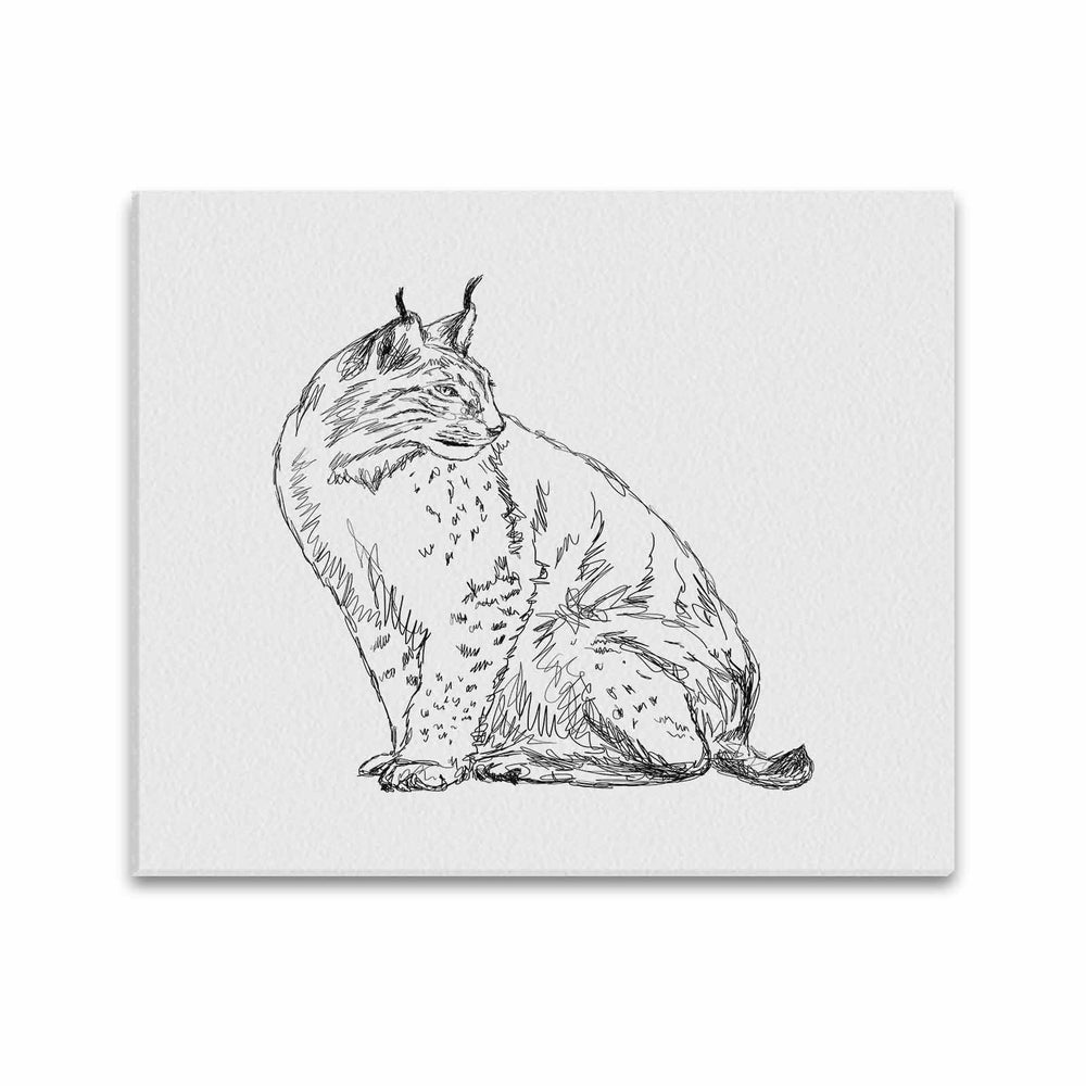 Wall Art / Lynx  Frame Canvas Print 20"x24"