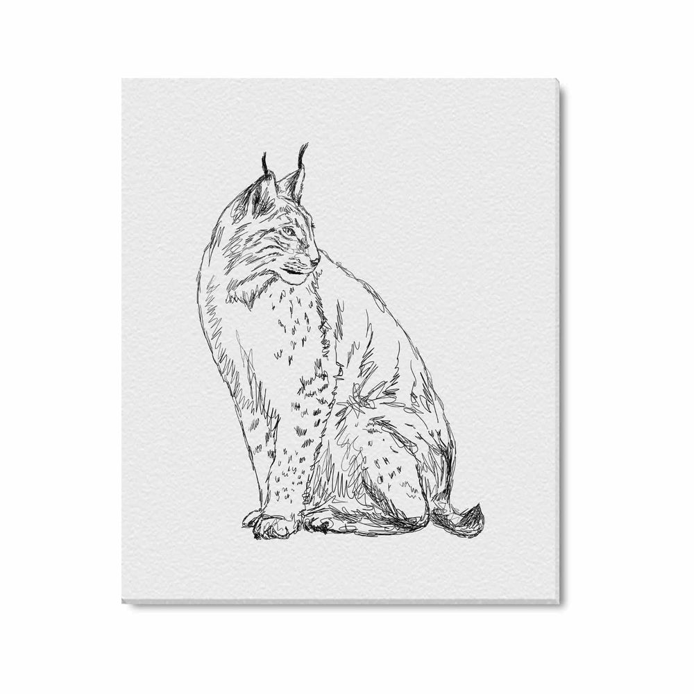 Wall Art / Lynx  Frame Canvas Print 20"x24"
