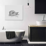 Wall Art / Snail  Frame Canvas Print 24"x20"
