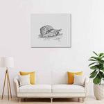 Wall Art / Snail  Frame Canvas Print 24"x20"