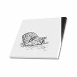 Wall Art / Snail  Frame Canvas Print 24"x20"