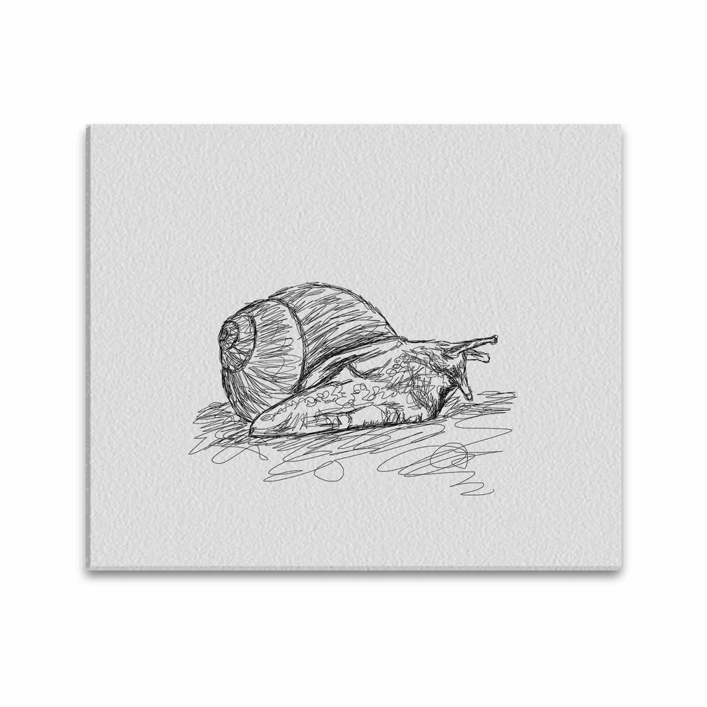 Wall Art / Snail  Frame Canvas Print 24"x20"