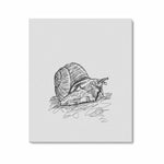 Wall Art / Snail  Frame Canvas Print 24"x20"