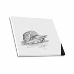Wall Art / Snail  Frame Canvas Print 24"x20"