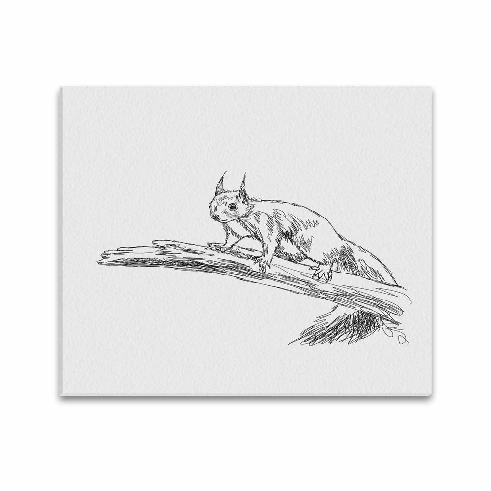 Wall Art / Squirrel  Frame Canvas Print 20"x24"