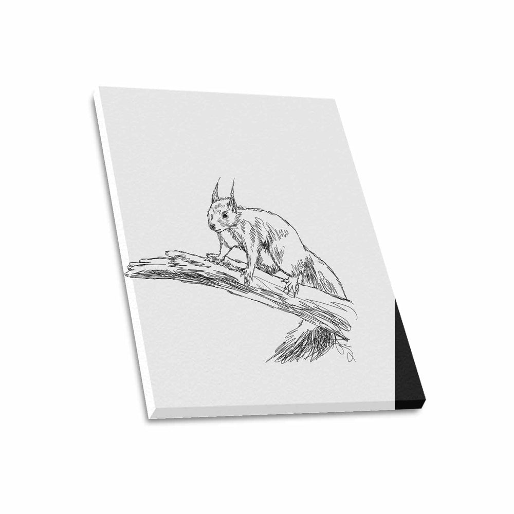 Wall Art / Squirrel  Frame Canvas Print 20"x24"