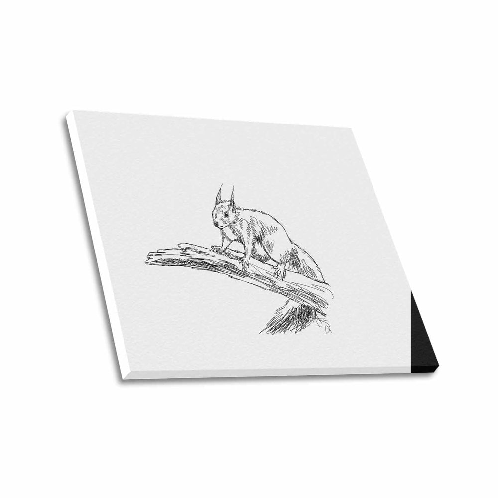 Wall Art / Squirrel  Frame Canvas Print 24"x20"