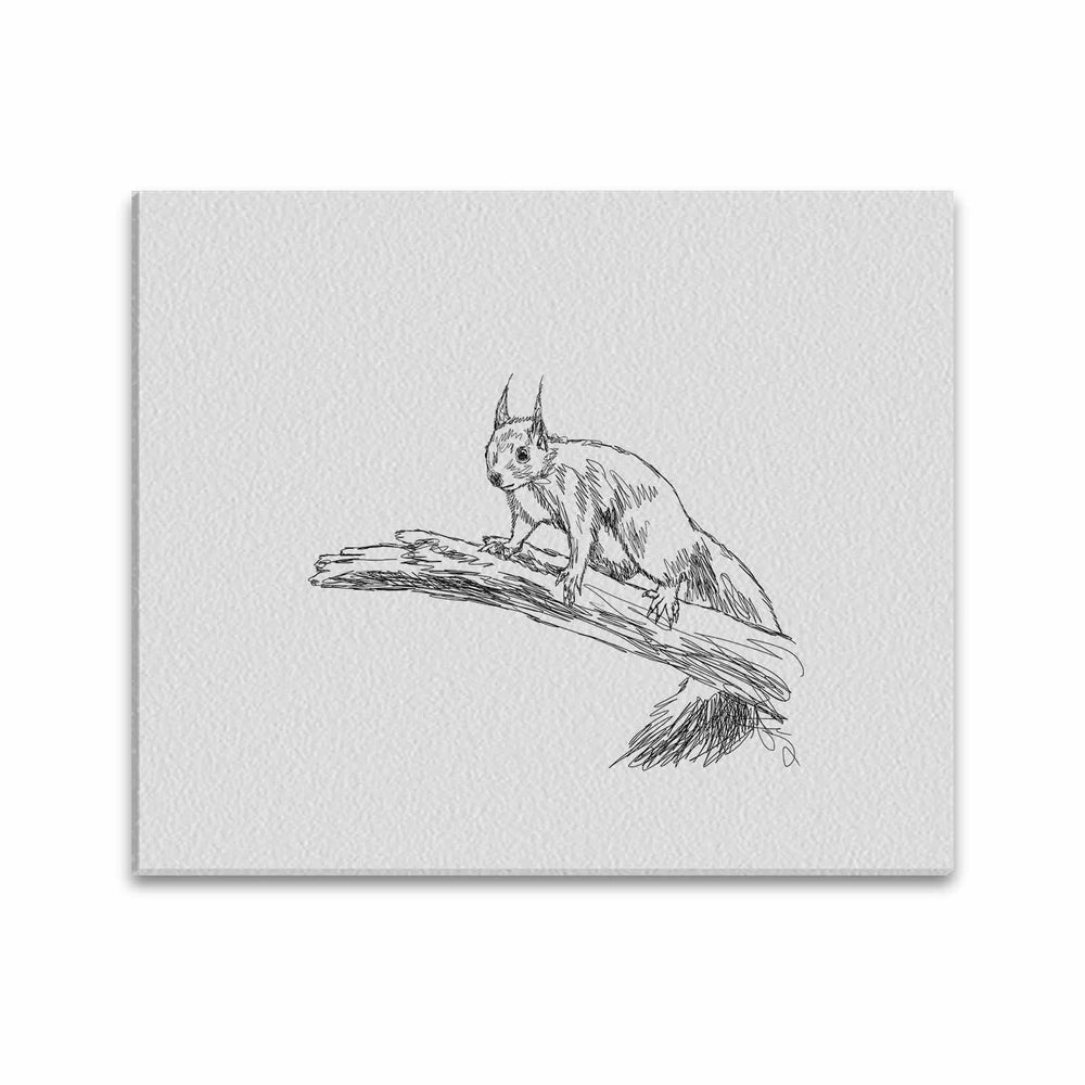 Wall Art / Squirrel  Frame Canvas Print 24"x20"