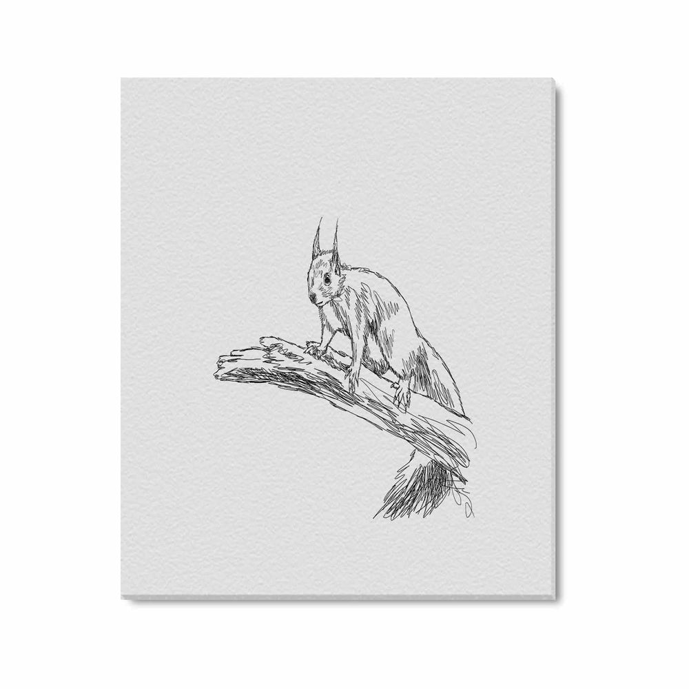 Wall Art / Squirrel  Frame Canvas Print 24"x20"